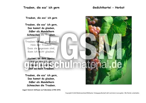 Trauben-Fallersleben.pdf